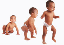 процентили 6