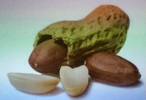 По статистике в легких после асфиксии находят чаще всего это