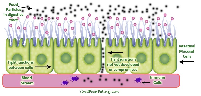 пристеночная микрофлора