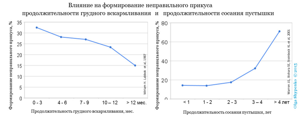 Прикус и ГВ