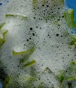 сапонины мыльные