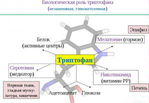 триптофан