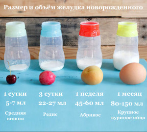 желудок -ру2